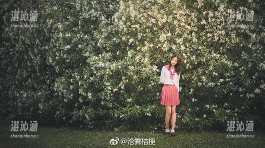 沧霁桔梗的路易九世，网盘里的私藏，谁敢不看？